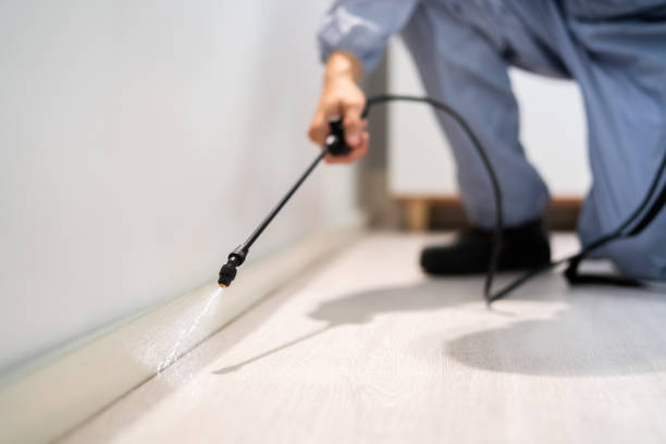 Licensed Termite Control service in Carnegie, OK - Nex Pest Control