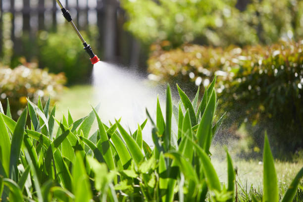 24/7 Emergency Termite Control experts in Carnegie, OK