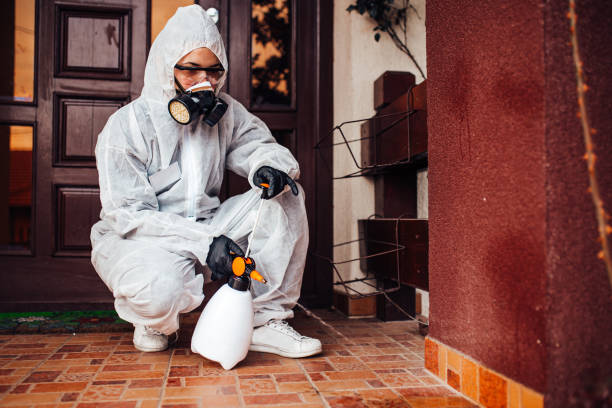 Reliable Termite Control contractor in Carnegie, OK by Nex Pest Control