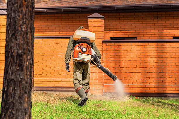 Top rated local Termite Control specialists in Carnegie, OK